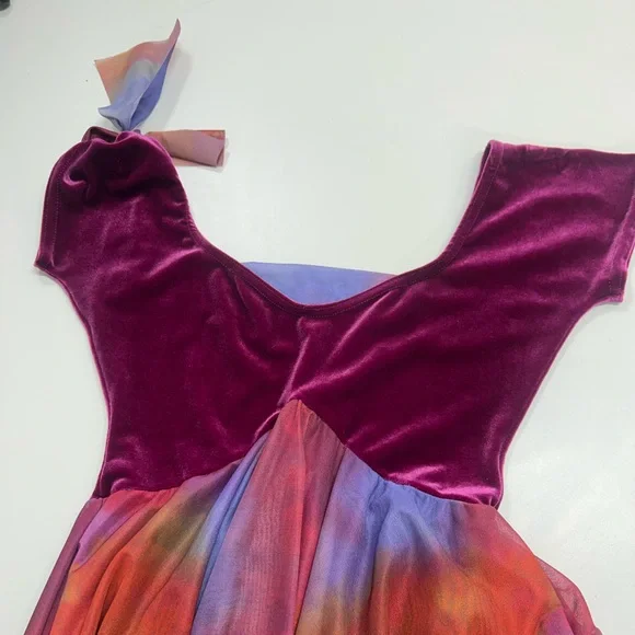Costume Gallery Dance Dress Multicolor Velvet Performance Wear Size Small Adult - Picture 2 of 6